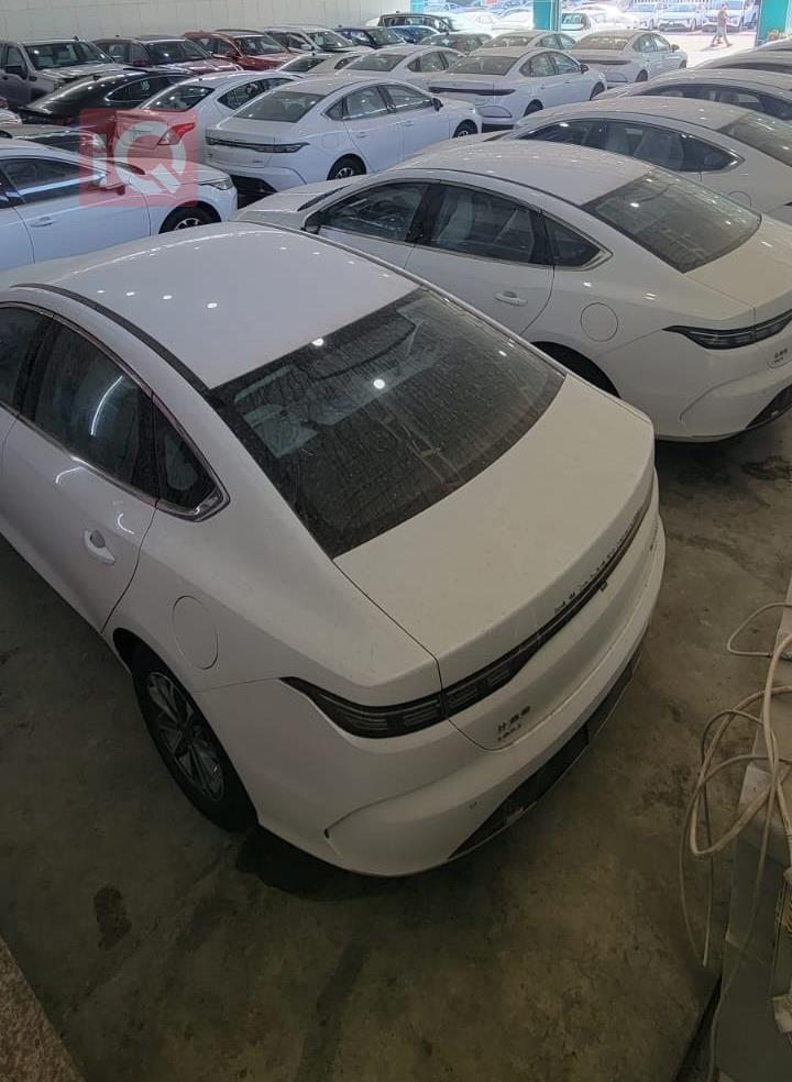 BYD Destroyer 05